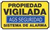 Ags seguridad