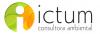 Ictum Consultores